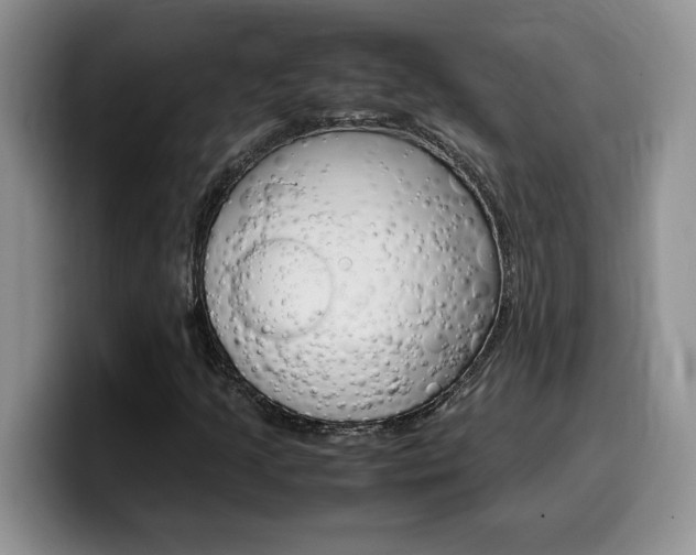 X0000100231205200805300718