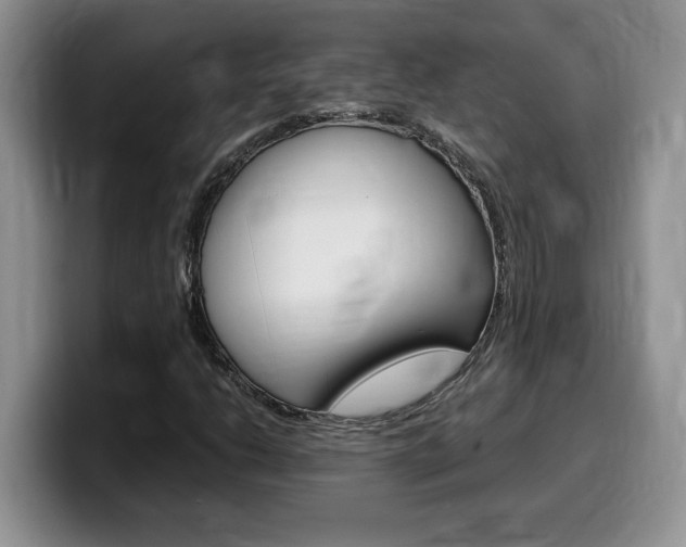 X0000100231206200805300718