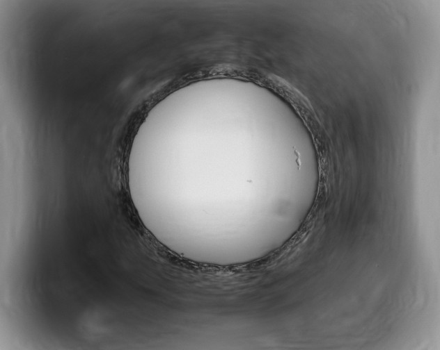 X0000100231207200805300718