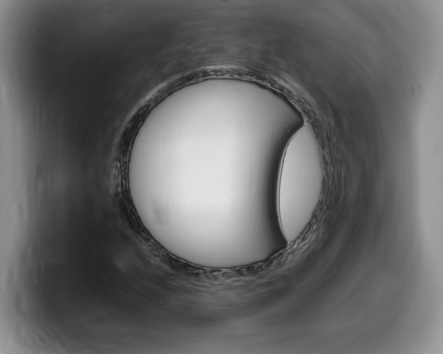 X0000100231208200805300718