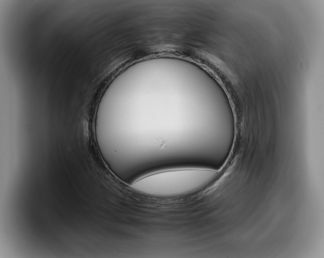 X0000100231209200805300718