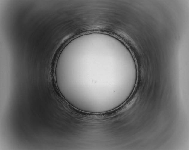 X0000100231210200805300718