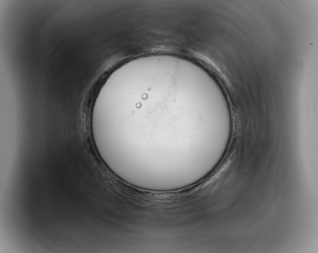 X0000100231211200805300718