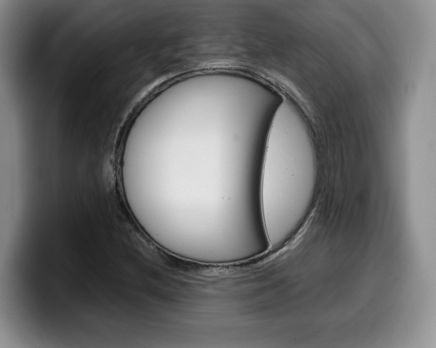 X0000100231212200805300718