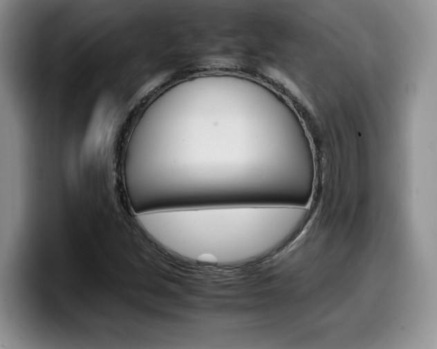 X0000100231213200805300718
