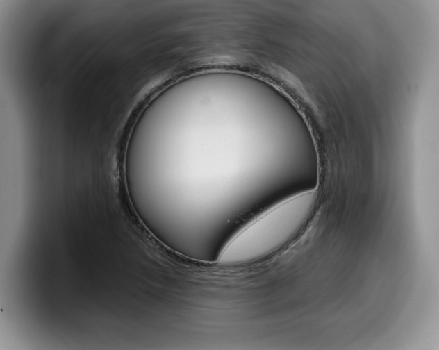 X0000100231218200805300718