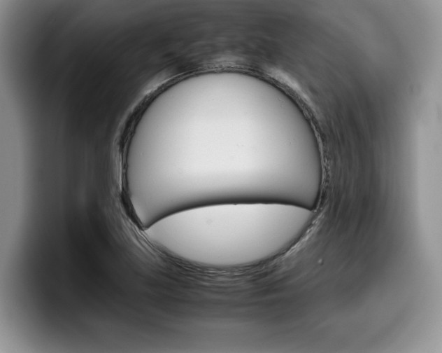 X0000100231219200805300719