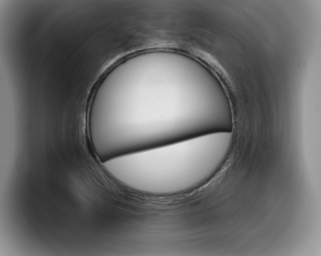 X0000100231220200805300719