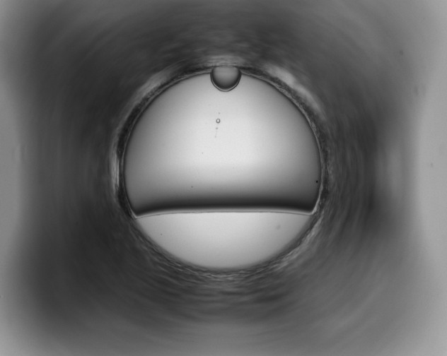 X0000100231221200805300719