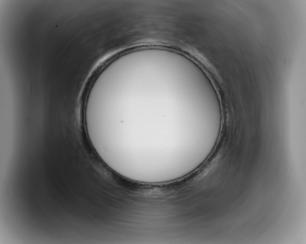 X0000100231222200805300719