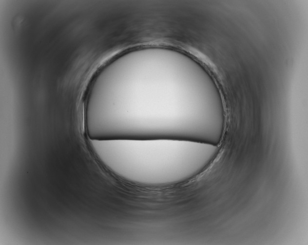 X0000100231223200805300719
