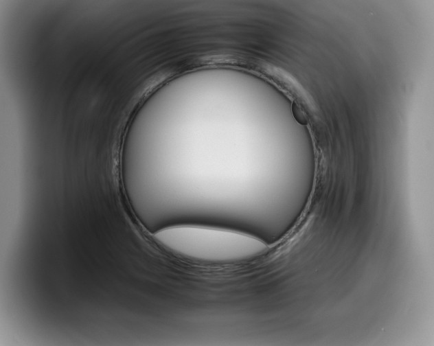X0000100231225200805300719