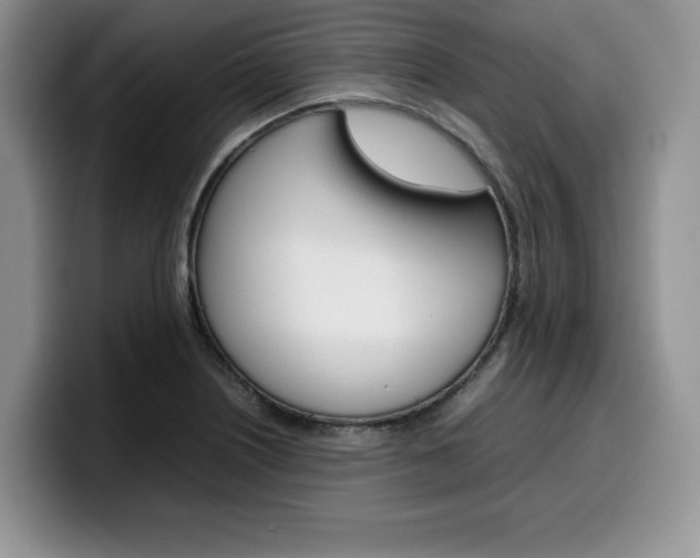 X0000100231226200805300719