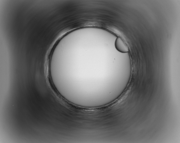 X0000100231227200805300719