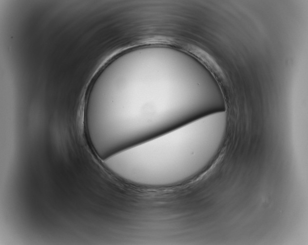 X0000100231228200805300719