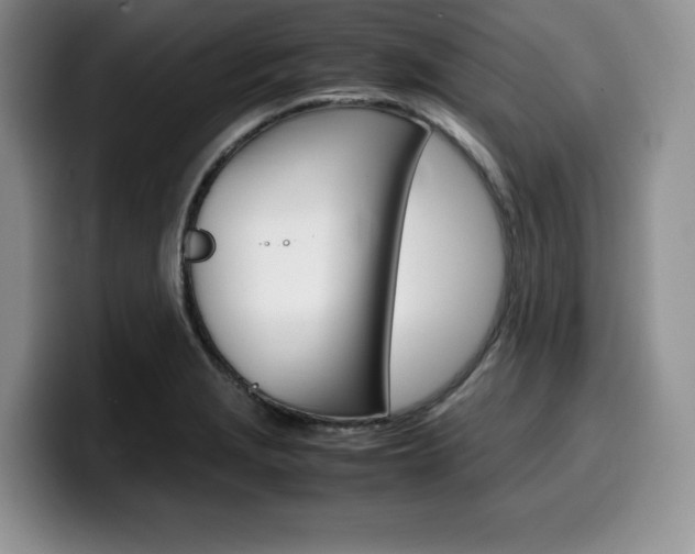 X0000100231229200805300719