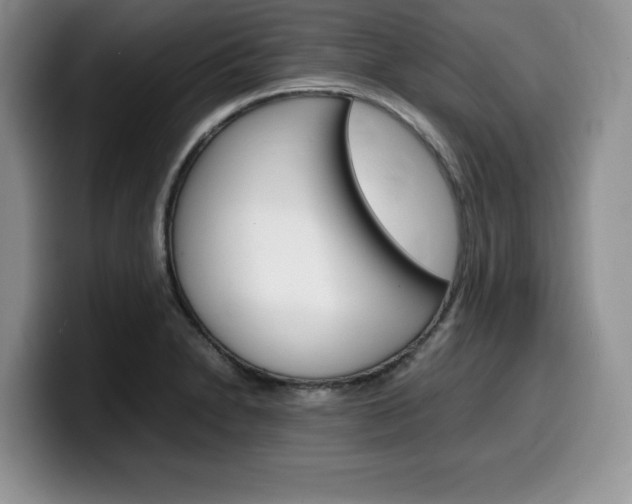 X0000100231230200805300719