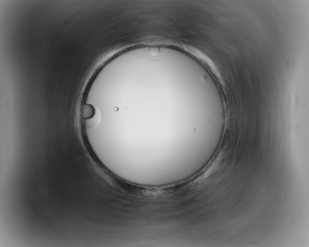 X0000100231231200805300719