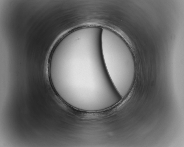 X0000100231232200805300719