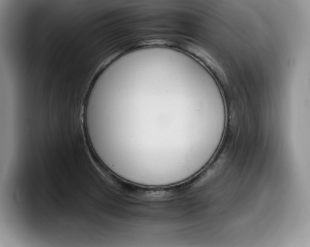 X0000100231233200805300719