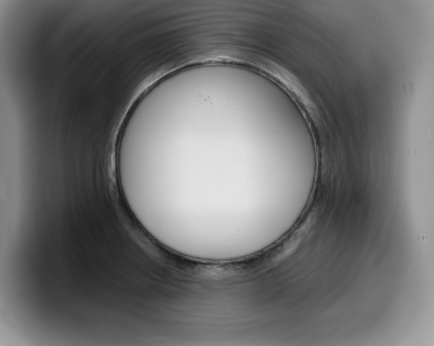 X0000100231234200805300719