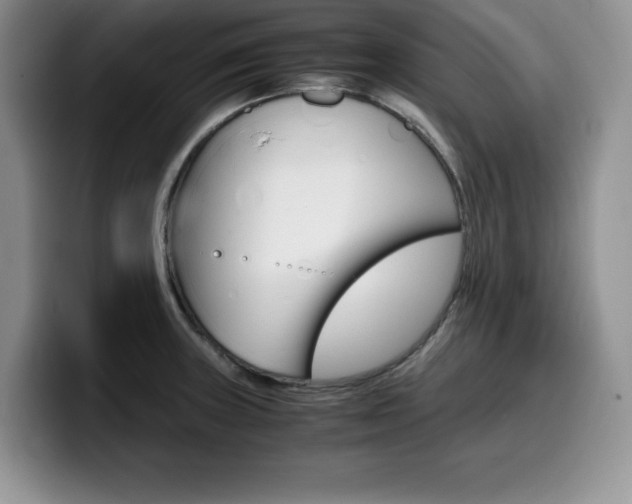 X0000100231235200805300719