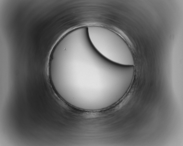 X0000100231236200805300719
