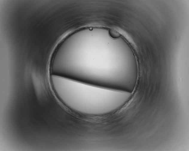X0000100231237200805300719