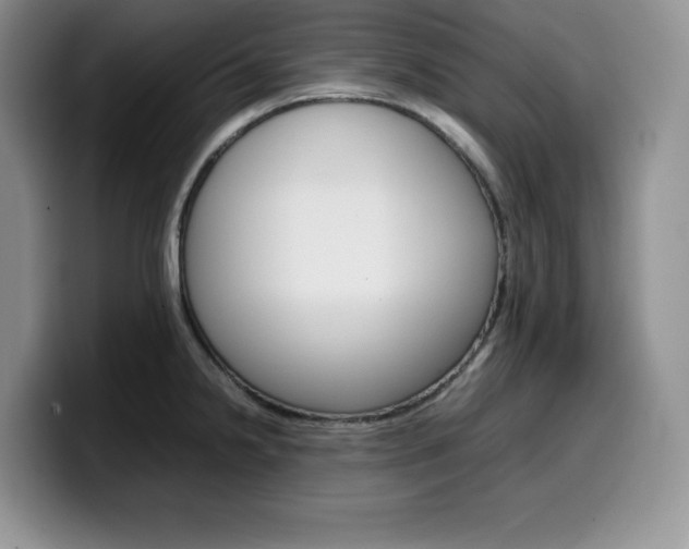 X0000100231238200805300719