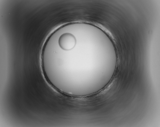 X0000100231239200805300719