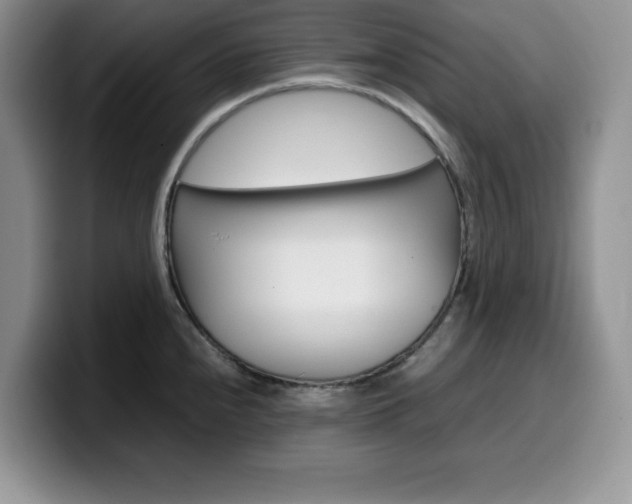 X0000100231240200805300719