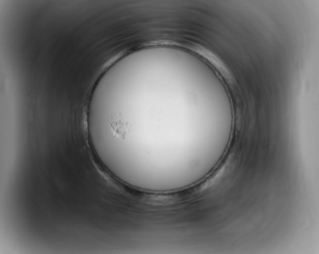 X0000100231241200805300719