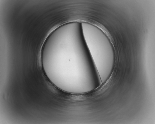 X0000100231242200805300719
