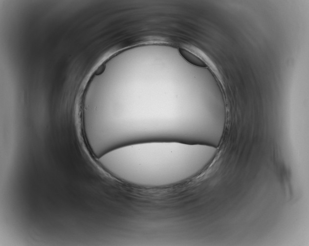X0000100231243200805300719