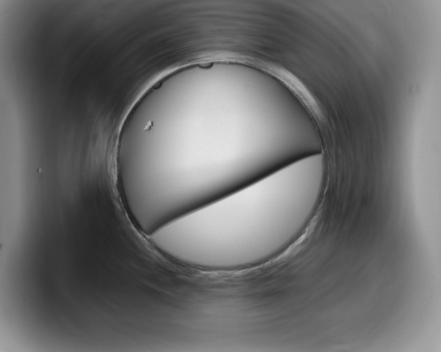 X0000100231244200805300719
