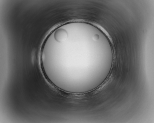 X0000100231245200805300719