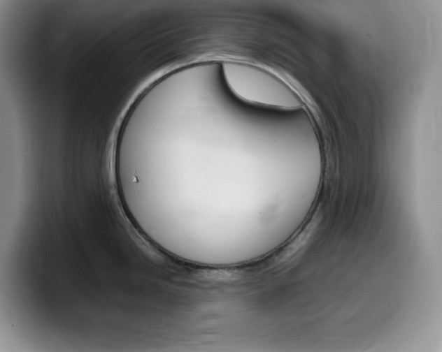X0000100231246200805300719