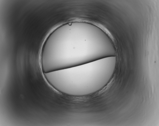 X0000100231247200805300719