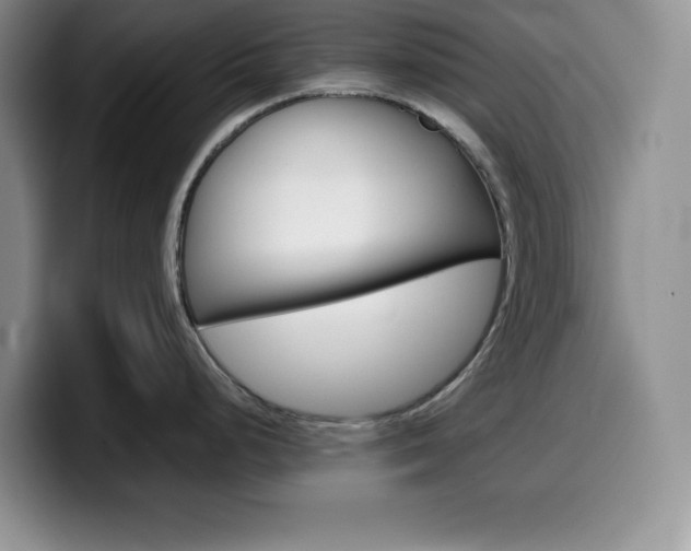 X0000100231248200805300719