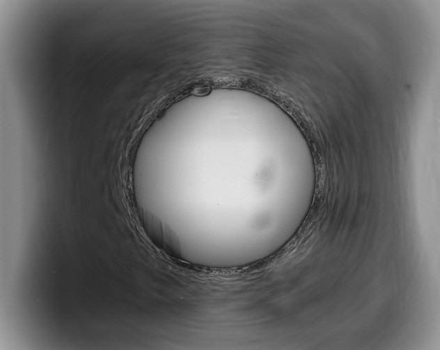 X0000100231249200805300718