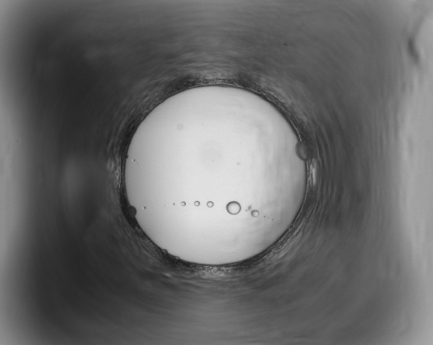 X0000100231251200805300718
