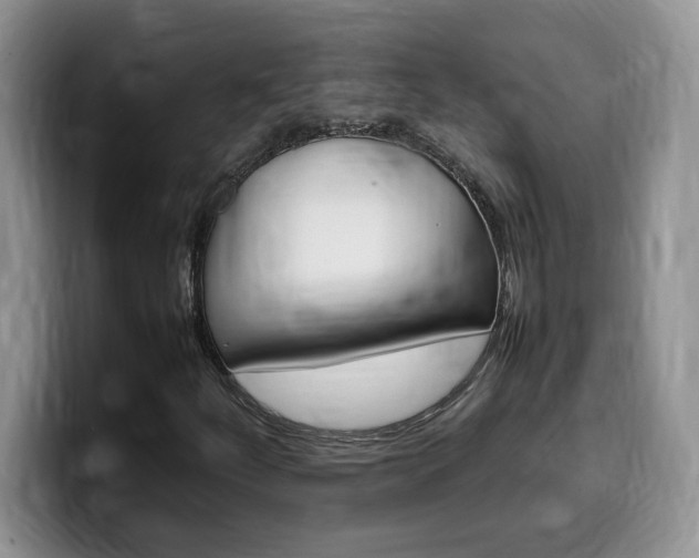X0000100231252200805300718