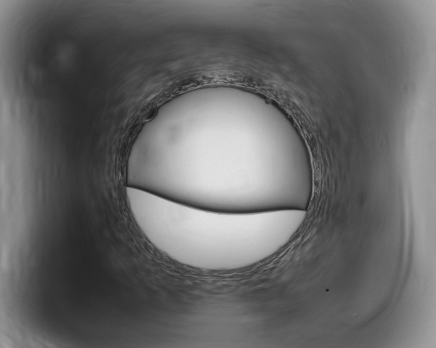 X0000100231253200805300718