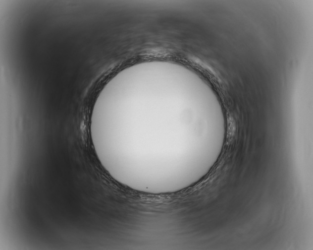 X0000100231254200805300718