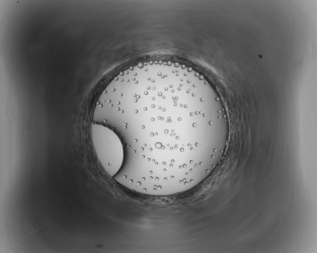 X0000100231255200805300718