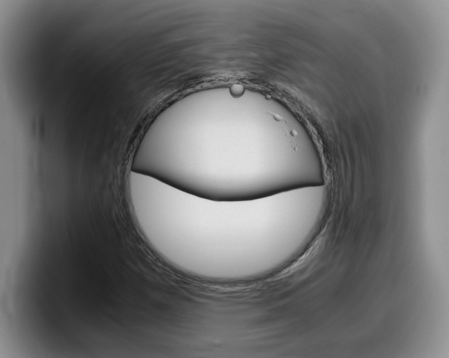 X0000100231257200805300718