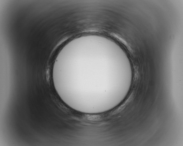 X0000100231258200805300718