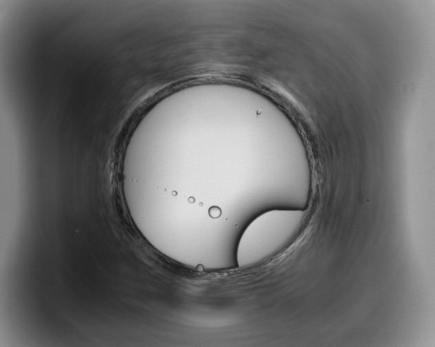 X0000100231259200805300718