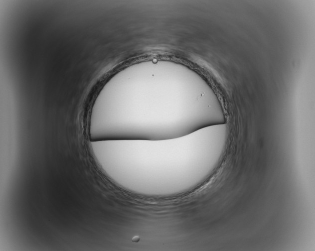 X0000100231261200805300718