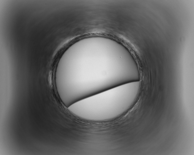 X0000100231262200805300718